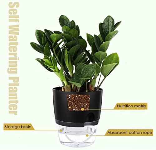 Vanavazon 6 Inch Self Watering Pots for Indoor Plants African Violet Pots - Image 3