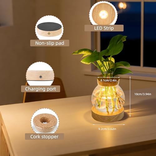 Plant Propagation Station with Light,Everkeen Valentines Day Glass Terrarium with Stepless Dimming Function Hydroponic Glass Container Vase Jars Gardening Gifts for Mom Women Plant Lovers - Image 2