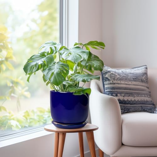 8 Inch Ceramic Plant Pot - Decorative Round Planter for Indoor Plants with Drainage Hole and Saucer, Home House Room Office Garden Decor, Blue - Image 7