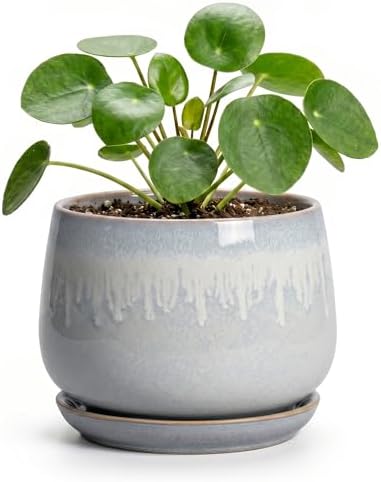 4 Inch Planter - Ceramic Plant Pots for Indoor Plants, Round Succulent Pots with Drainage and Saucer, Decorative Small Planter, Home Desktop Decor, Gardening Gifts for Women, Grey-White by Fivepot