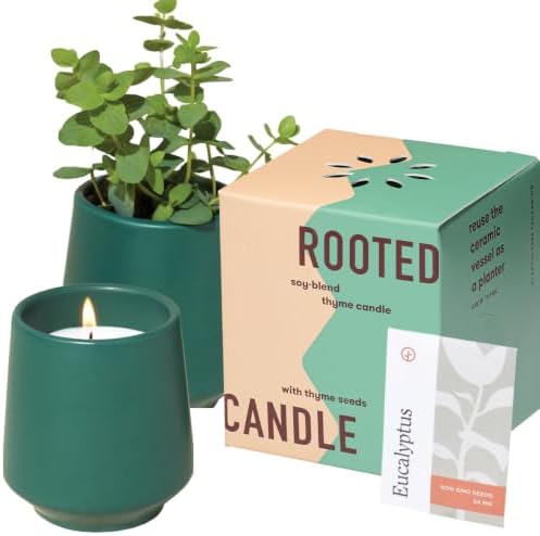 Modern Sprout Soy Candle Planter - Grows Thyme - Tonka Bean Scent - 6 oz by ModernSprout