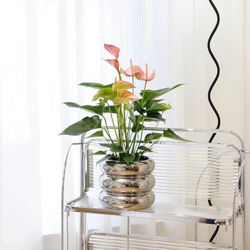 Ceramic Plant Pot Indoor, 6.5 Inch Flower Pot with Drainage Hole, Tiered Bubble Design Ceramic Planter for Home & Office Decor (Silver) - Image 5