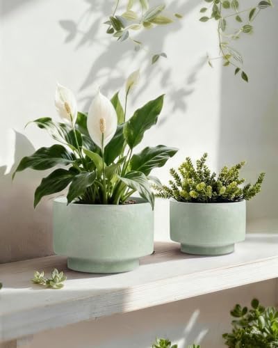 Succulent Pots, 8"+6" Plant Pots, Ceramic Planters for Indoor Plants - Image 3