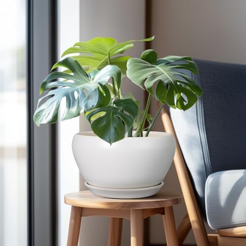 Ceramicfor Ceramic Planter for Indoor Plants - 11 Inch Plant Pot with Drainage Hole and Saucer Decorative Round Large Planter Pot for Plants Outdoor Flower Pot for Garden White - Image 5