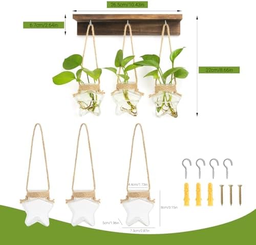 XXXFLOWER Wall Hanging Propagation Station with 3 Star-Shaped Glass Vase - Image 2