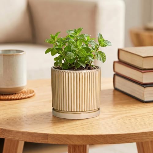 Ceramic Plant Pot, 4 Inch Pots for Plants with Saucer, Beige - Image 4