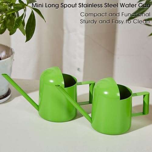 Mini Watering Can Stainless Steel Long Spout 10oz/300ml Small Watering Can for Indoor Desk Plants Outdoor Flowers Succulents Garden Watering Pot Gardening Tool (Green) - Image 2