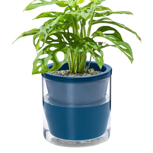 D'vine Dev Self-Watering Blue Terracotta Planter Pot, 6 in, 37-X-B-4 by DvineDevPlanterPotsandStand