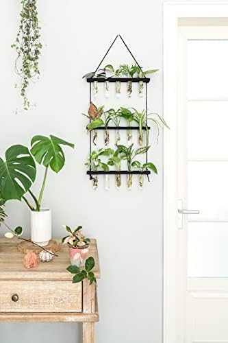 Mkono Plant Propagation Station, 3 Tier Black Wall Hanging Vase Test Tubes - Image 2