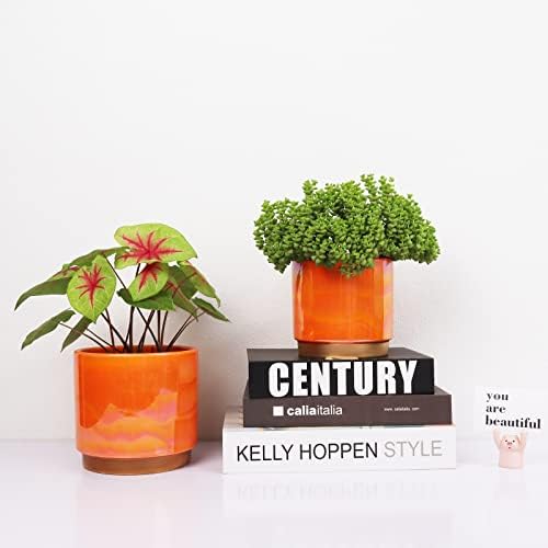 Gepege Ceramic Plant Pots for Indoor Plants, Planters with Drainage Holes - Image 5
