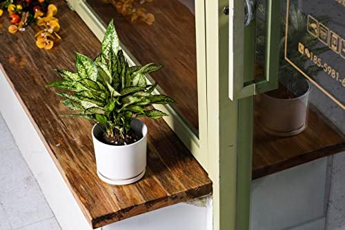 Ekirlin 7 inch Plant Pots,Ceramic Flower Planters Indoor,Modern Succulents Containers with Drain Hole Saucer,Decorate Home,Office & Outdoor (White) - Image 5