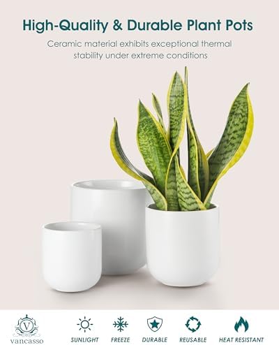 vancasso Ceramic Plant Pots, 4+5+6 inches, Set of 3, Planters with Drainage Hole, Flower Pots Planters Pots for Indoor Plants, Modern Indoor Decorative Garden Pot, Home Decor, White - Image 4