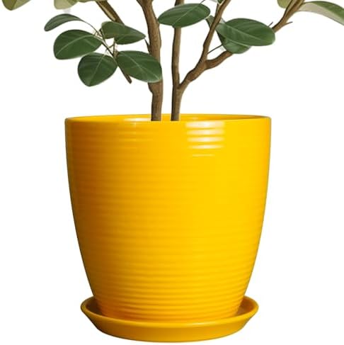 10 Inch Plant Pot - Ceramic Pot for Plants Outdoor Planter for Indoor Plants Large Plant Pot with Drainage Hole and Saucer Round Flower Pot for Home Patio Office Yellow by EPFamily