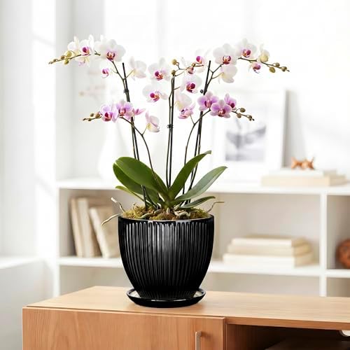 8 Inch Plant Pot, Ceramic Planter with Drainage Hole and Saucer, Modern Planters for Indoor Plants, Indoor Planter, Decorative Round Flower Pot, Apartment Decor, Plant Lover Gifts, Black - Image 5