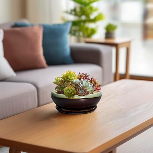 SQOWL Succulent Pots 6 Inch - Shallow Ceramic Planter, Bonsai Pot with Drainage Hole and Saucer, Round Ceramic Succulent Planter for Indoor Outdoor Plant, Kitchen Decor, Plant Lover Gift, Green-Brown - Image 6
