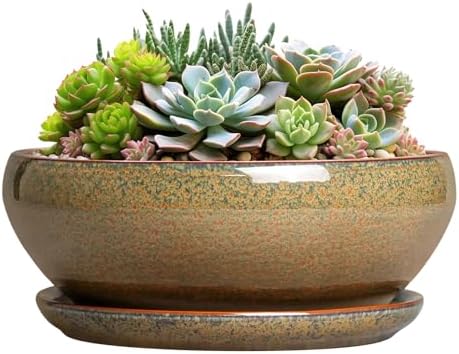 SQOWL Succulent Pots, 8 Inch Ceramic Bonsai Pots with Drainage Tray, Brown by SQOWL