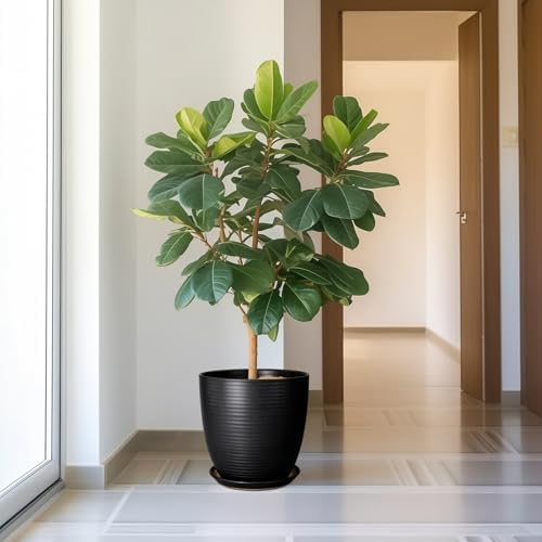 12 Inch Pots for Plants - Ceramic Planter Pot, Large Flower Pot with Drainage Hole and Saucer for Home Patio Garden Office Indoor Outdoor, Black - Image 2