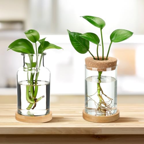 Layhit 4 Pcs Plants Propagation Stations vases Glass Planters with Wooden Lid and Bamboo Stand for Hydroponic Plants Gardening Gifts for Women Mom Home Office Tabletop Decoration(Wide Mouth Style) - Image 3
