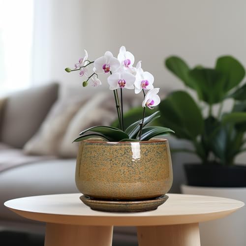 G EPGardening 7 Inch Ceramic Pots for Plants - Ceramic Planters for Indoor Outdoor Plants, Round Plant Pots with Drainage and Saucer, Modern Planter, House Decor, Plant Lover Gifts, Speckled Brown - Image 2