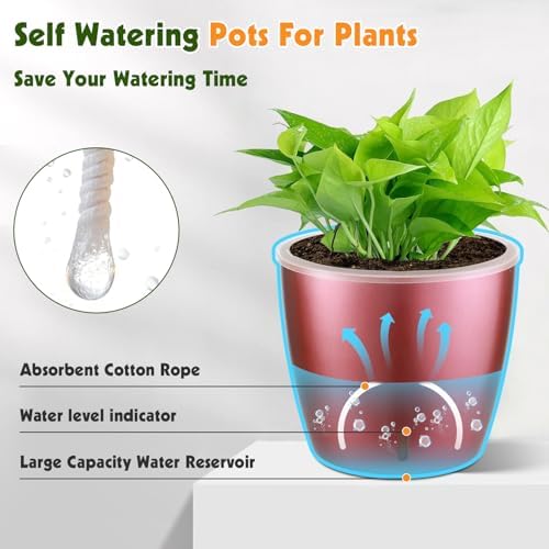 Self Watering Pots for Indoor Plants, 6-Pack 5'' Self Watering Planter with Drainage Holes, Small African Violet Pots with Water Indicator, Clear Wick Orchid Pot, Rose Gold - Image 2