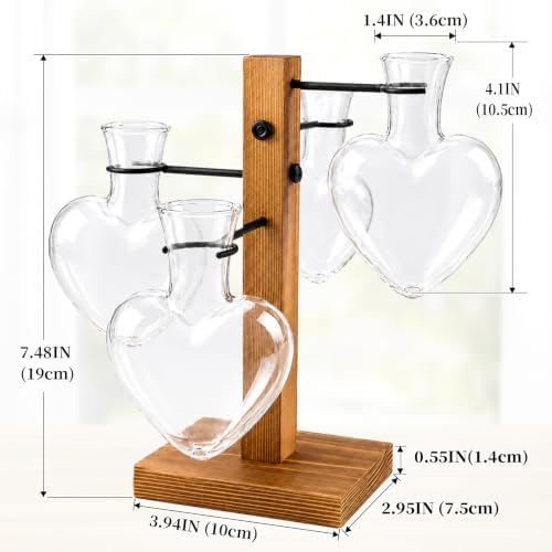 Plant Terrarium Propagation Station with 4 Heart Glass Vases - Transparent - Image 2