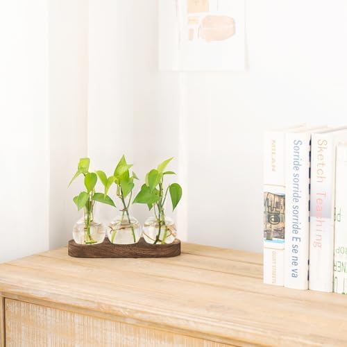 Mkono Plant Propagation Station, Desktop Glass 3 Bulb Vase Brown Wood Tray - Image 2
