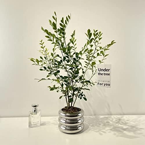 Ceramic Plant Pot Indoor, 4.5 Inch Flower Pot with Drainage Hole, Small Bubble Design Ceramic Planter for Home & Office Decor (Silver) - Image 4