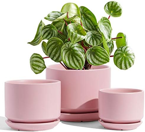 LE TAUCI Ceramic Plant Pots, 4.3+5.3+6.8 inch, Set of 3, Planters with Drainage Hole and Saucer, Indoor Flower Pot with Hole Mesh Pad, Gifts for Mom, Pink by LETAUCI