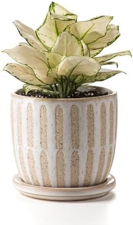 Ceramic Flower Pots Indoor-Outdoor: 5.75 Inch Planters with Drainage Holes & Saucer - Modern Decorative Plant Pots Ceramic for Home Gardeners (Striped) by Poitonru