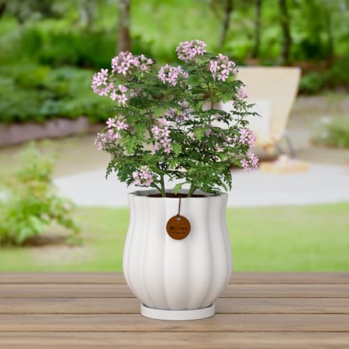 4.7" Matte White Ceramic Plant Pot with Saucer - Image 6