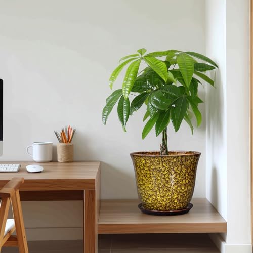 Ceramic Pots for Plants - 10 Inch Plant Pot for Indoor Outdoor, Round Planter with Drainage Hole and Saucer, Modern Flower Pot, Decorative Planters, Home Garden Decor, Birthday Gift, Yellow - Image 7