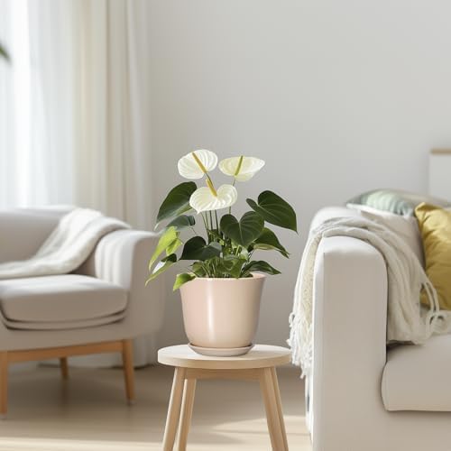 Ceramic Pots for Plants, 5.6 Inch Plant Pot with Drainage, Beige - Image 7