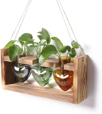 Plant Terrarium Propagation Stations Hydroponics by MTsigns