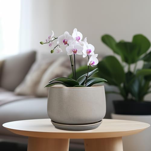G EPGardening Ceramic Pots for Plants 7 Inch, Grey - Image 2