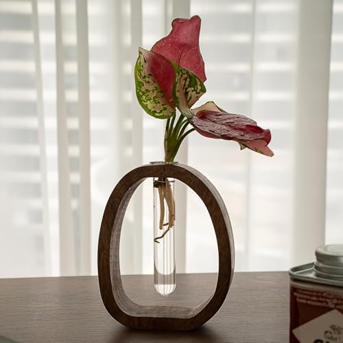 Acacia Small Wood Vase, Glass Tube Plant Propagation Station, MCM Decor - Image 6