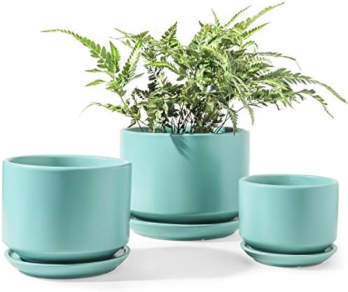 LE TAUCI Ceramic Plant Pots, 4.3+5.3+6.8 inch, Set of 3, Planters with Drainage Hole and Saucer, Indoor Flower Pot with Hole Mesh Pad, Gifts for Mom, Aqua by LETAUCI