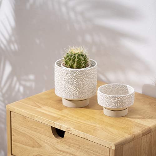 UBEE Planter Ceramic Flower Pot for Indoor Plants | 5.5 inch + 4.9 inch Plant Pots with Drainage Hole and Saucer for Aloe, Snake Plants, Pothos, Orchid, Beige with White Glaze Dot - Image 4