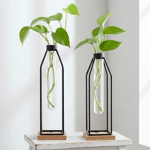 Houmury Test Tube Vase Set of 2, 11&12.5 Inch Flower Vases with Iron Stand & Wood Base, for Home Décor, Table Decor, Modern Farmhouse Decor, Hydroponic Plants by Houmury