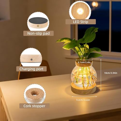 Plant Propagation Station with Light,Everkeen Glass Terrarium with Stepless Dimming Function Hydroponic Glass Container Vase Jars Gardening Gifts for Mom Women Plant Lovers 4 Pack - Image 2