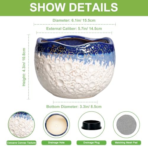 Ceramic Plant Pots, 6 Inch Orchid Pot with Drainage, Beige-Blue - Image 2
