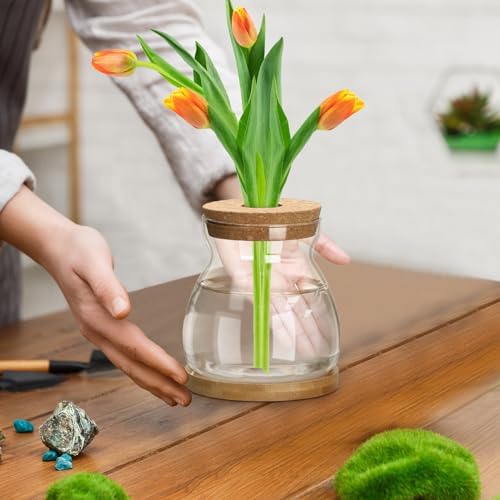 6 Pcs Glass Plant Propagation Station with Wood Lid & Stand, Novel Style - Image 6