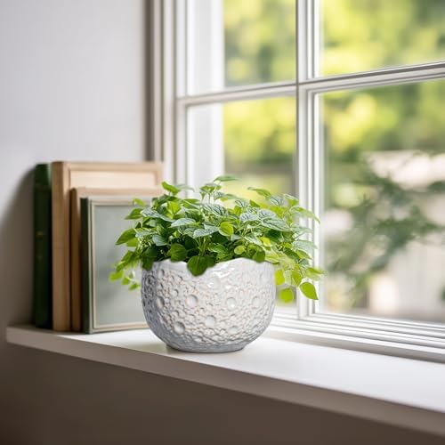Ceramic Plant Pots 6 Inch, Ceramic Orchid Pot with Drainage, Grey - Image 3