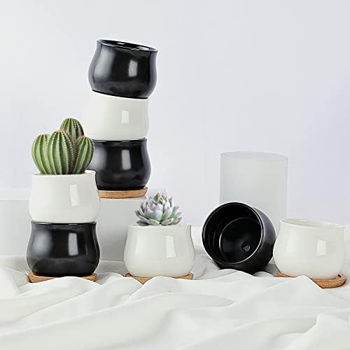 SHECIPIN 12 Pack Succulent Plant Pot, Mini 2.6 inch Ceramic Flower Planter Pot with Bamboo Tray, Small Pots for Plants, Plants Not Included （White, Black） - Image 7