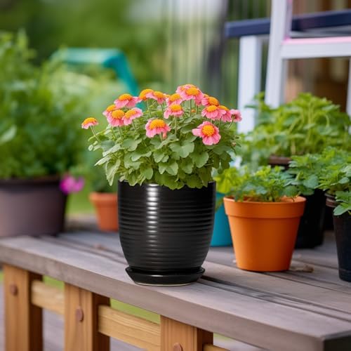6 Inch Plant Pot - Ceramic Planters for Indoor Outdoor Plants, Modern Flower Pots with Drainage Hole and Saucer, Round Ceramic Planter, Office Room Decor, Gifts for Plant Lovers, Matte Black - Image 4