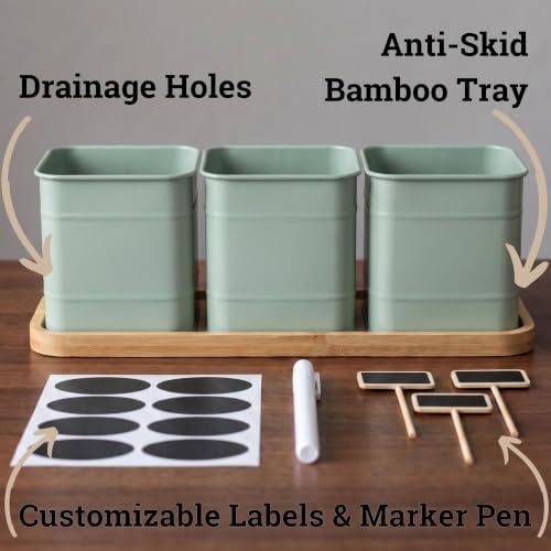 Herb Planter Indoor, 3-pc Herb Pots w/ Drainage Holes, Bamboo Tray & Labels - Image 2
