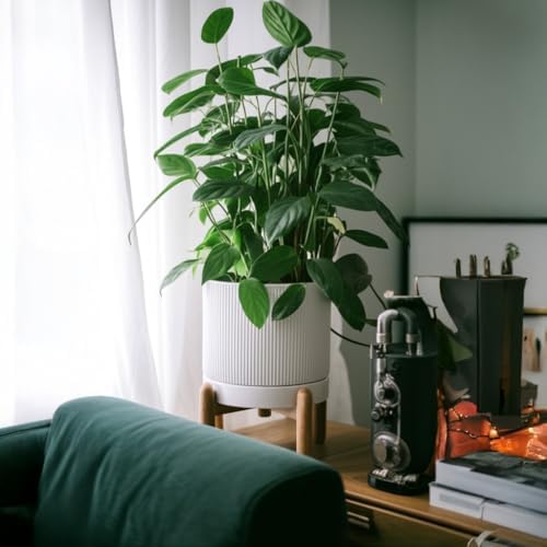 HERDUK 8 Inch Ceramic Planter with Natural Wood Stand w/Drainage & Saucer - Modern Indoor Planter for Cacti, Snake Plants & Aloe Vera - Image 6