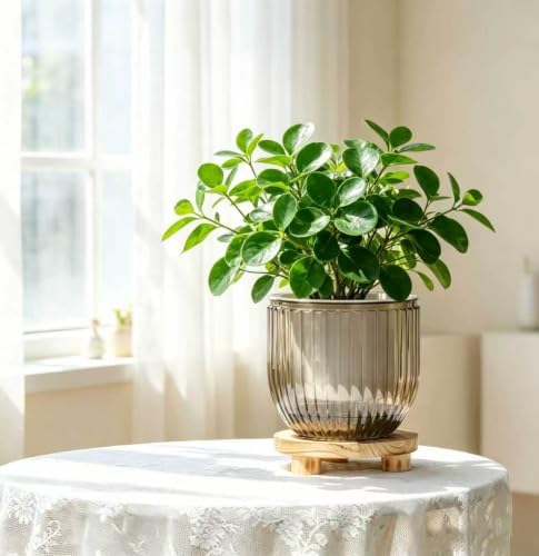 Melphoe 2 Pack Self Watering Hanging Planters Indoor Flower Pots, 8.3 Inch Outdoor Hanging Basket, Plant Hanger with 3Hooks Drainage Holes for Garden Home (Gray) - Image 4