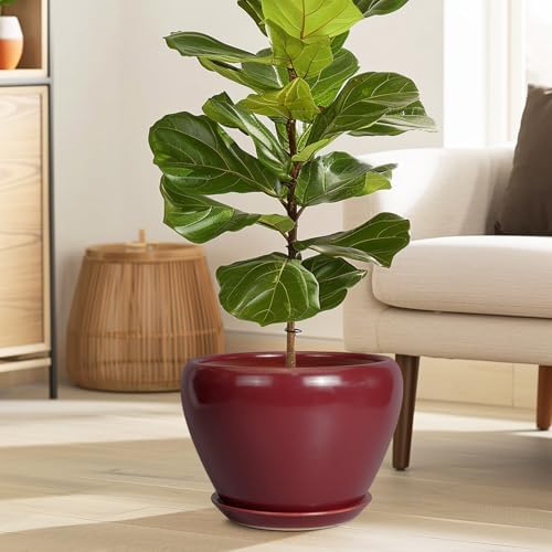 Ceramicfor 10 Inch Plant Pot, Ceramic Planter, Red - Image 2