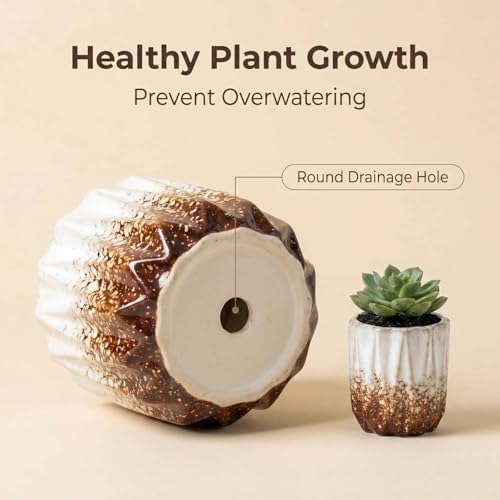 Succulent Plant Pots Ceramic Plant Pots and Drainage Hole Bonsai Planter Small Flower Pots for Indoor Outdoor Use for Home Office Garden Decoration,Plants Not Included (White B) - Image 3