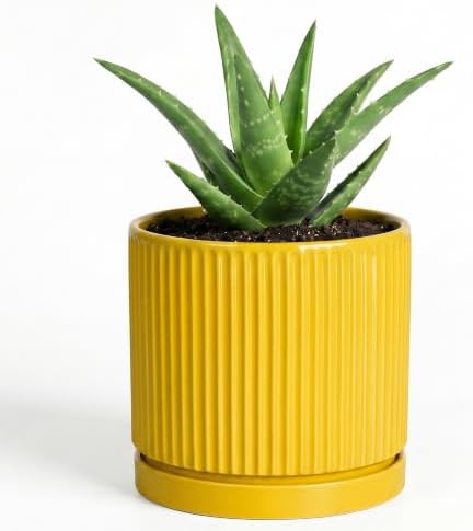 Ceramic Pots for Plants, 4 Inch Plant Pots with Saucer, Yellow by Unknown